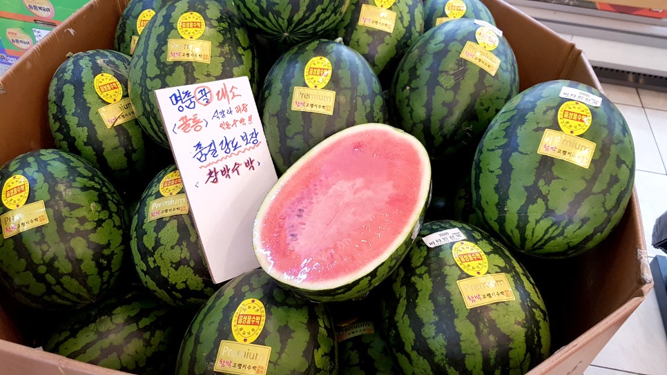 비타민천국 이미지