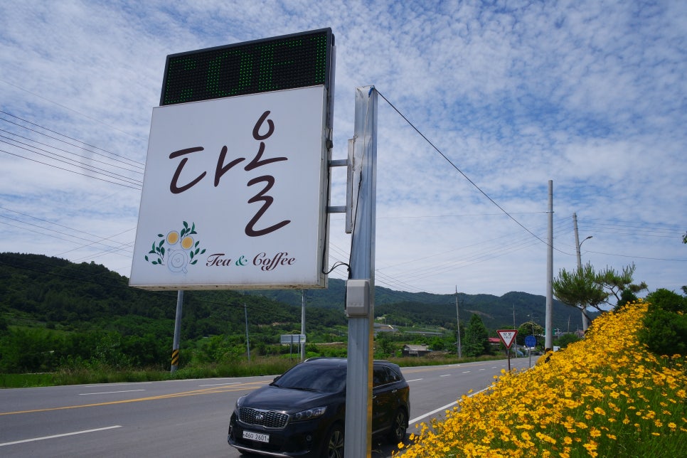 카페다올 이미지