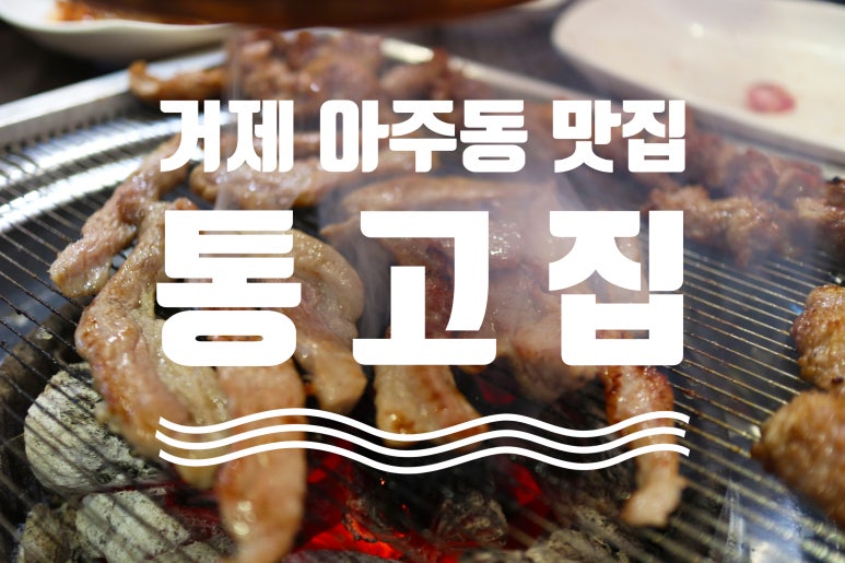 통고집거제 이미지