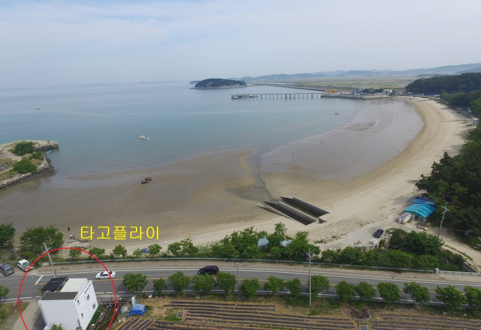타고플라이 이미지