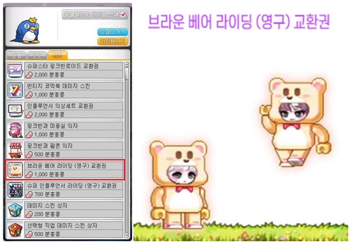 콩브라운 이미지