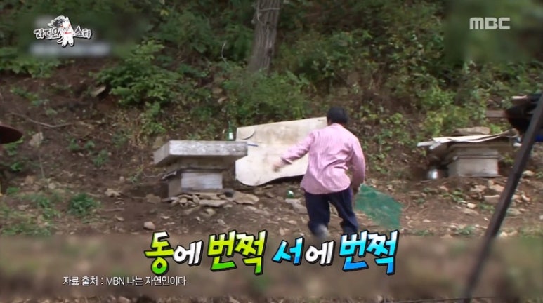 카페달콩 이미지