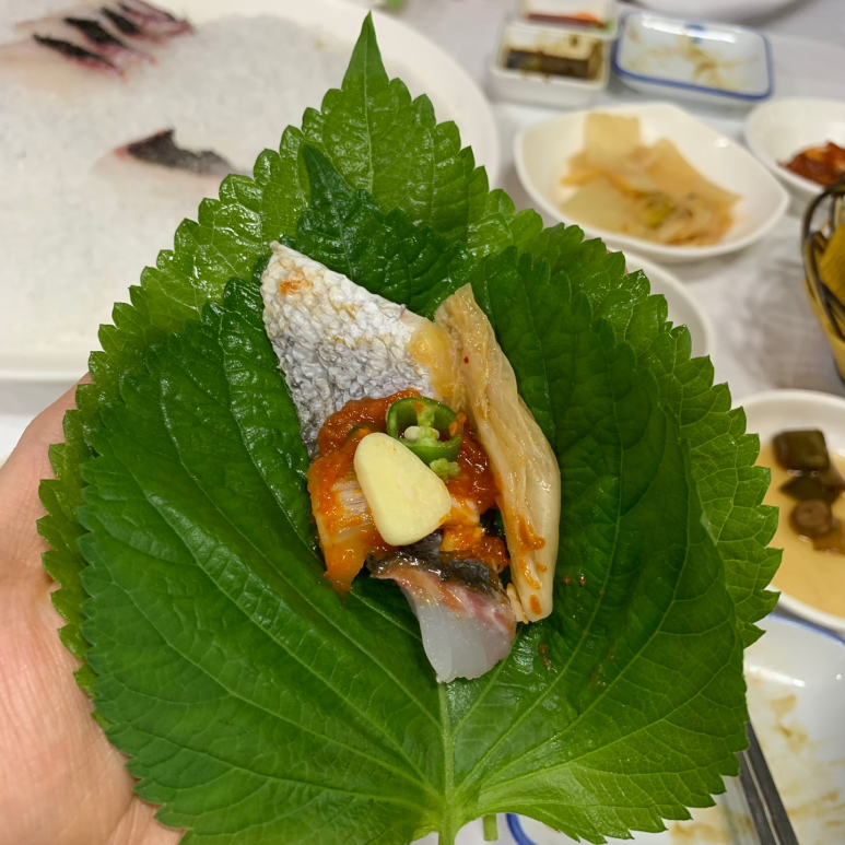 제주초장횟집 이미지