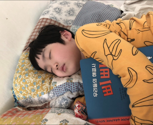 삐삐콩 이미지