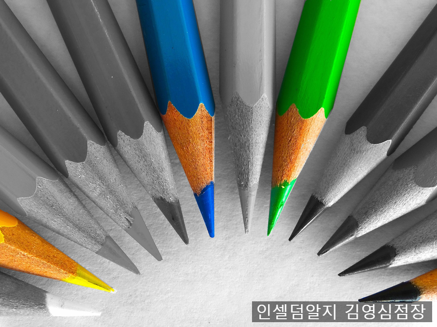 인셀덤알지 이미지