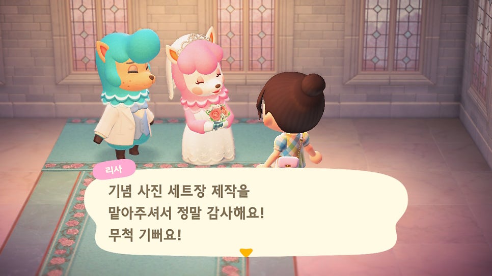 플라라 이미지