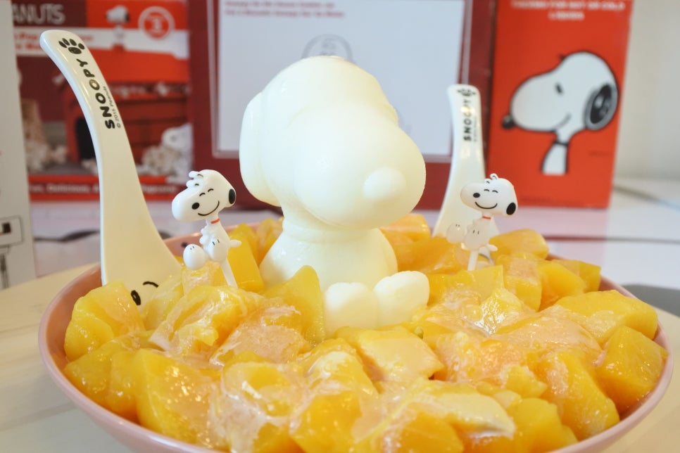 카페스누 이미지