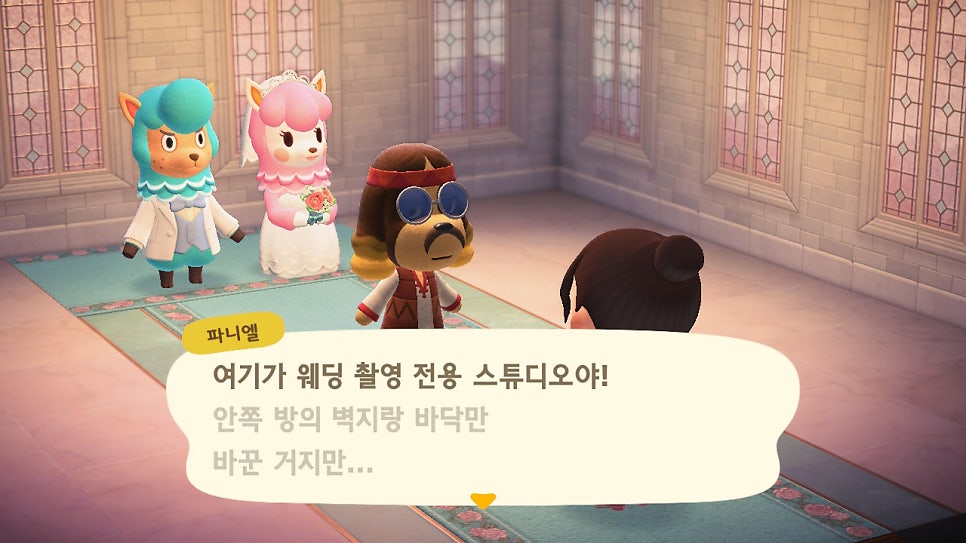 플라라 이미지