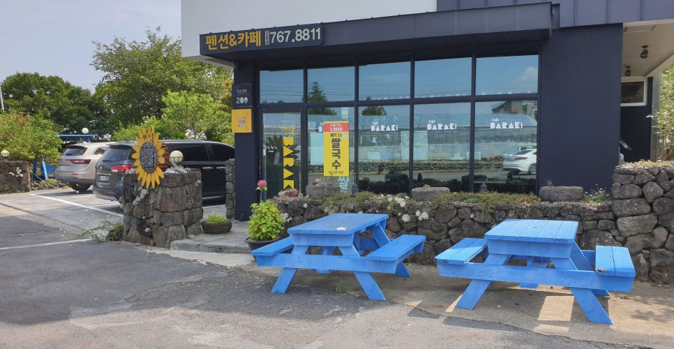 국수바라기 이미지