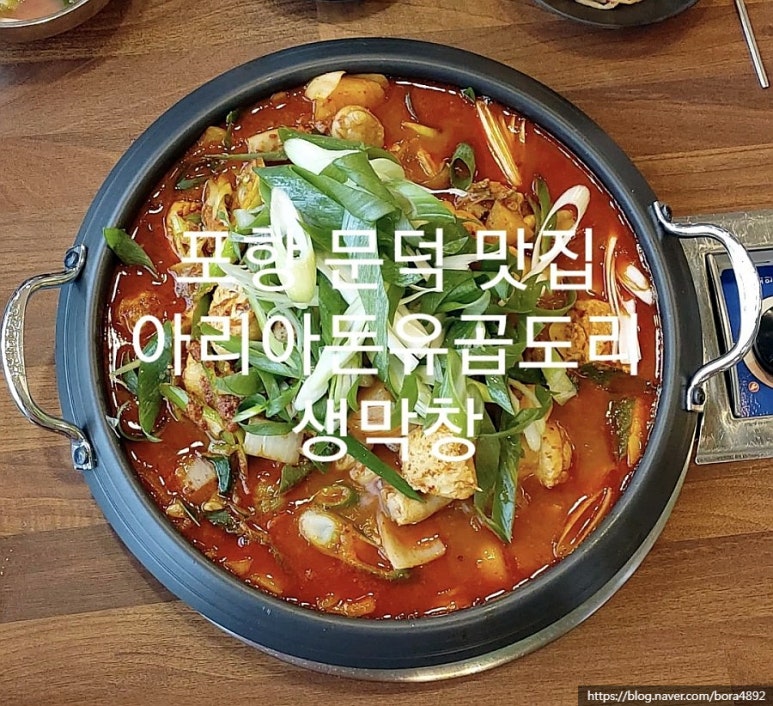 아리아돈유 이미지
