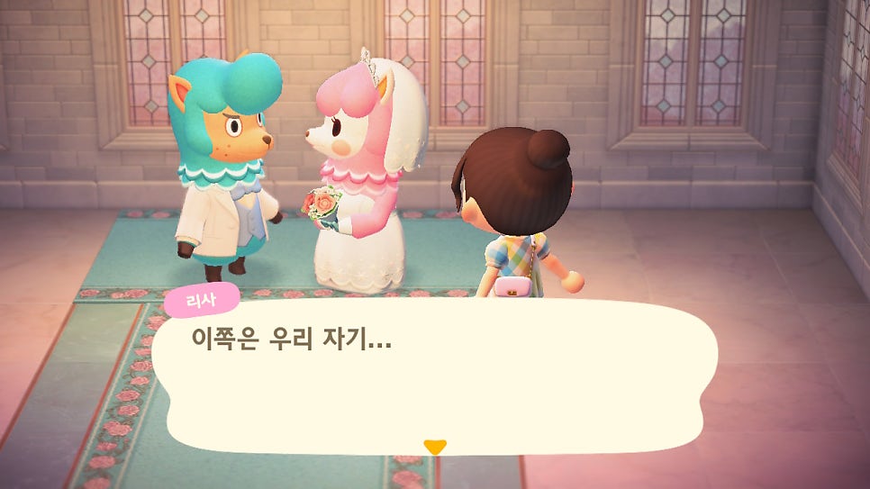 플라라 이미지