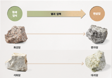 레이화 이미지