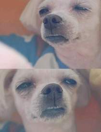 손가정의학과의원 이미지