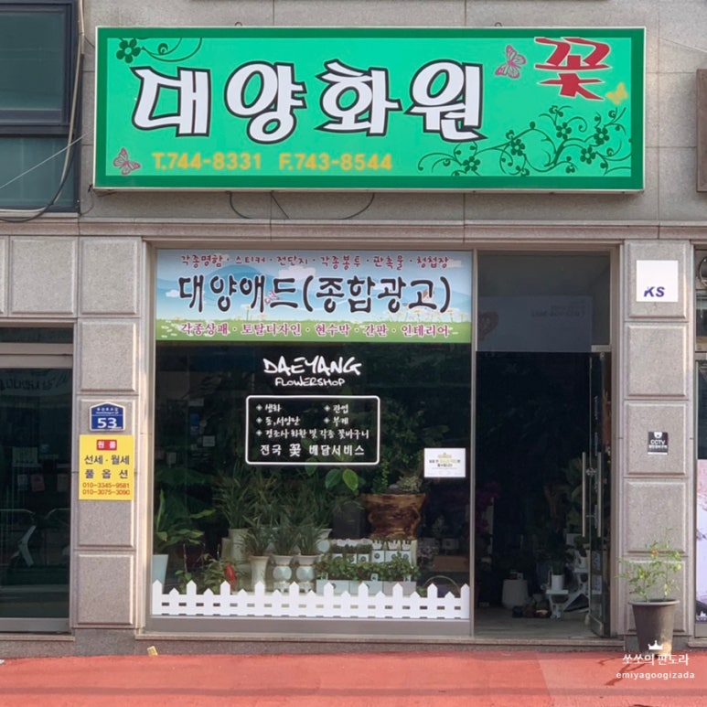 강원꽃화원 이미지