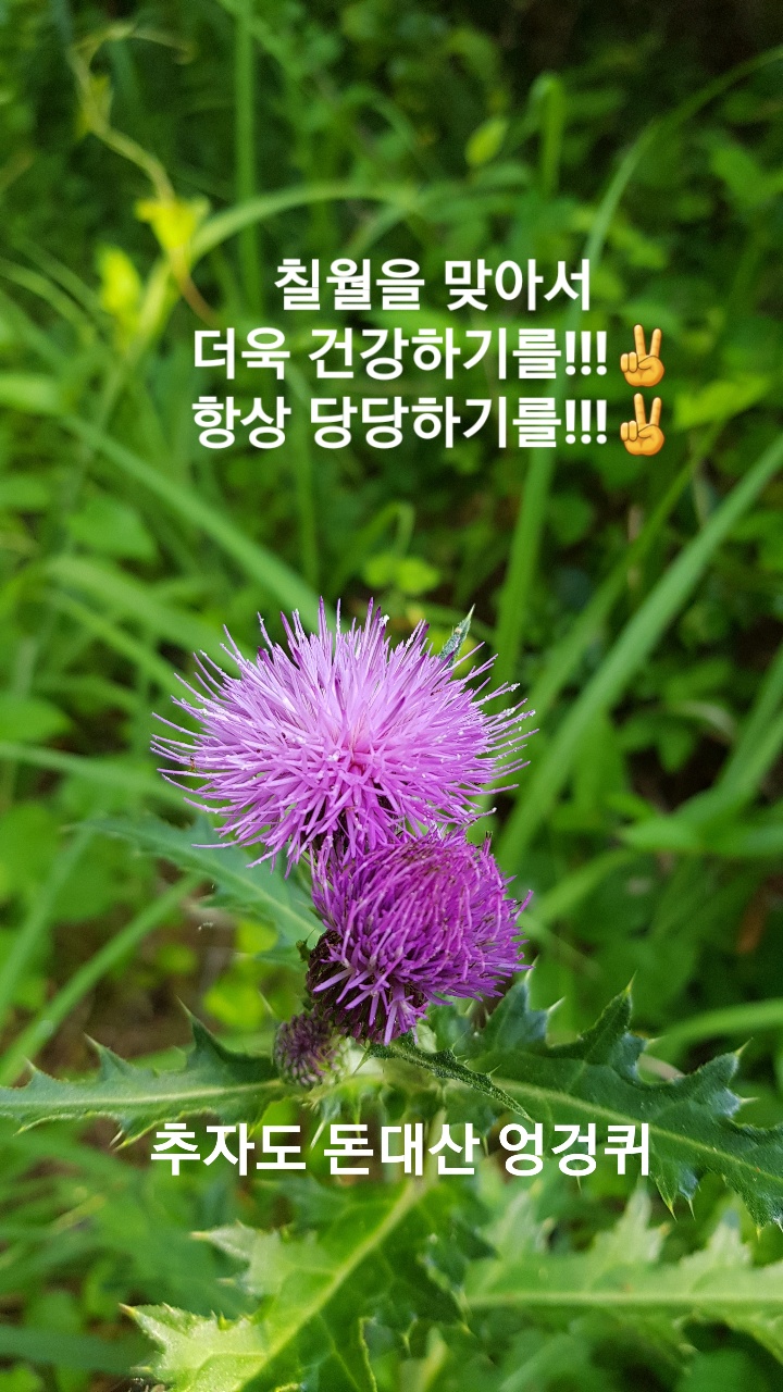 참즐거운옷가게 이미지