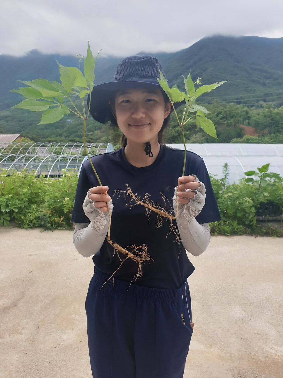 힐링팜 농업회사법인 주식회사 이미지