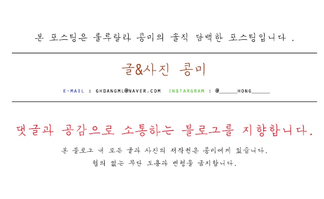 제주모련 이미지