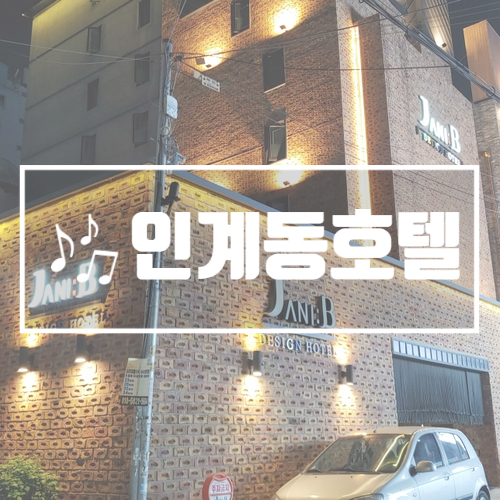 자니비 이미지