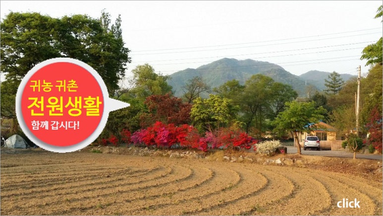 올바른농원 이미지