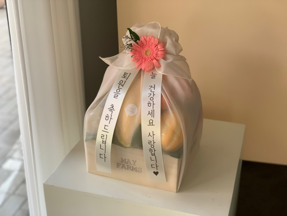 메이팜스 이미지