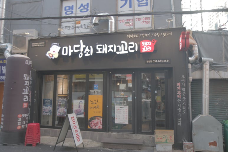 마당쇠돼지꼬리 이미지