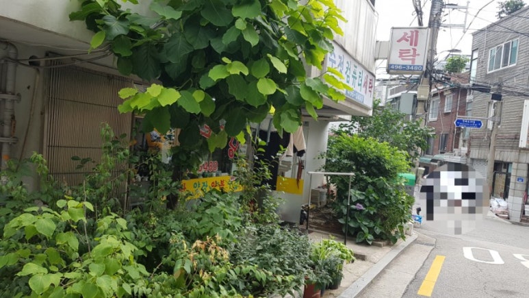수정세탁소 이미지