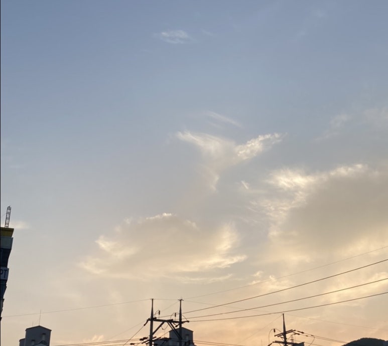 라화쿵부 창원내서점 이미지