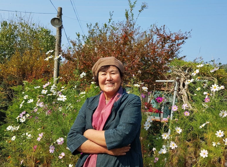 인사동다육 이미지