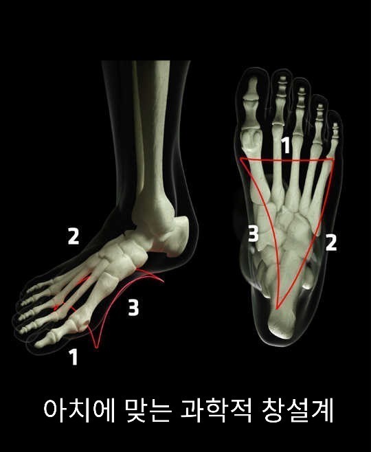 펴나리 이미지