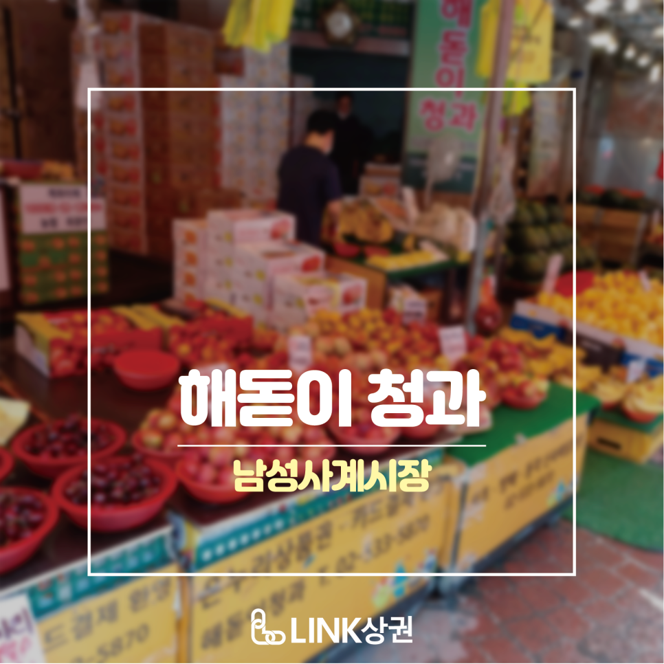해돋이청과 이미지