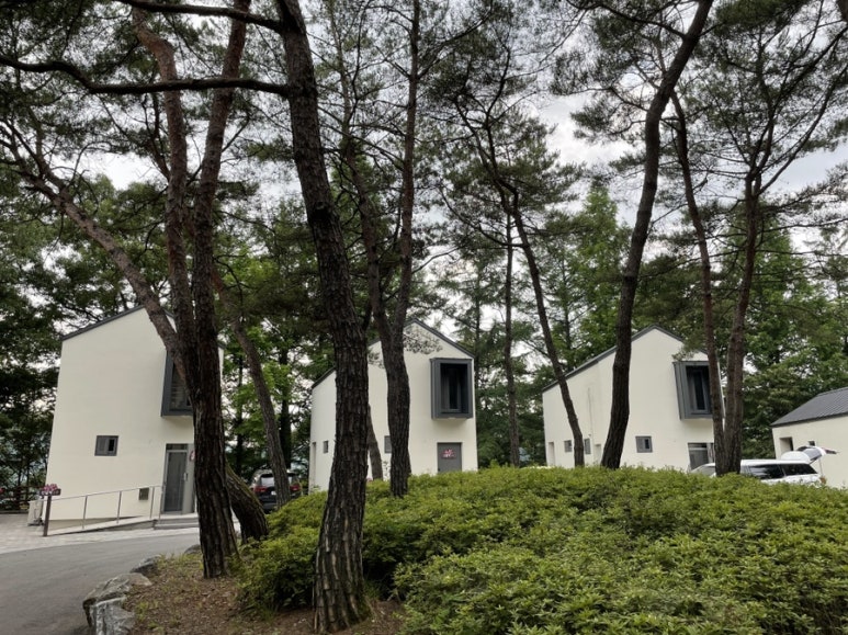 옥화자연휴양림 이미지