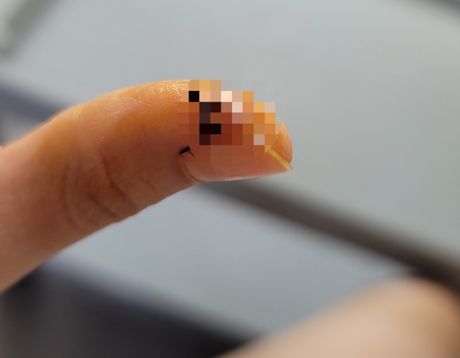 손가정의학과의원 이미지