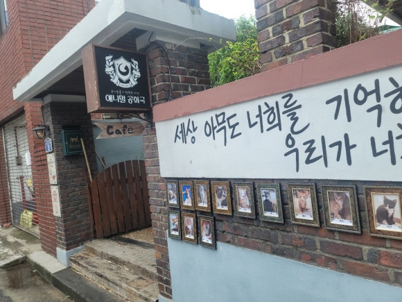 애니멀공화국 이미지