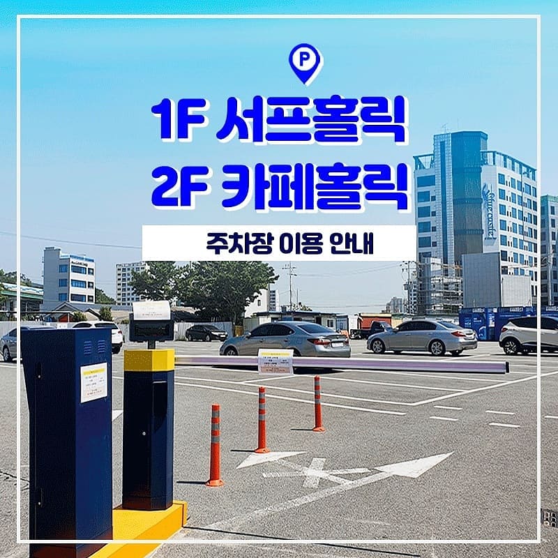 서프홀릭 이미지