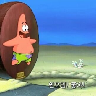 뚱이 이미지