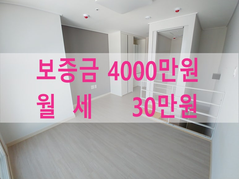 주식회사 라온베이 이미지