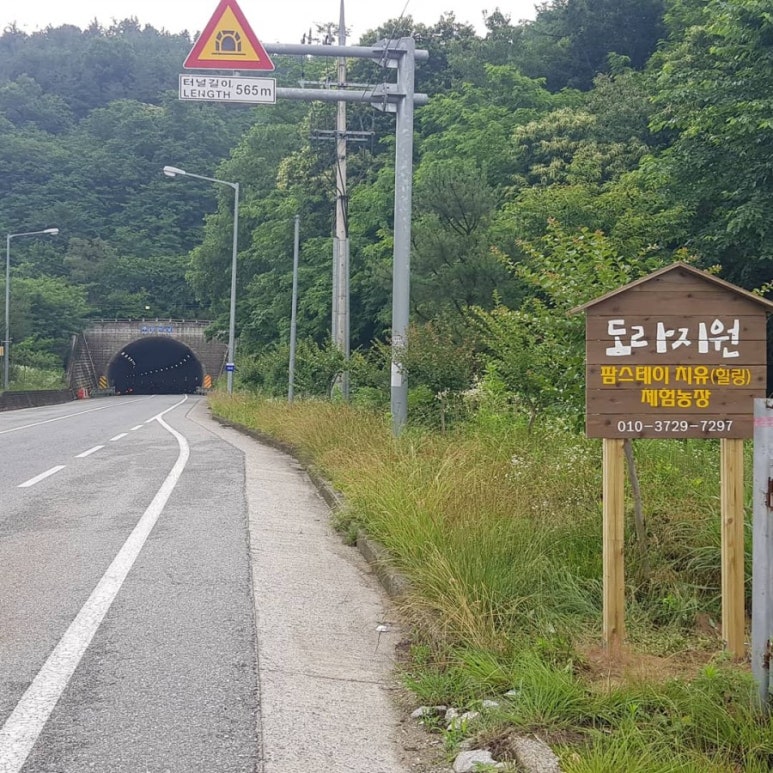 도라 농장 이미지