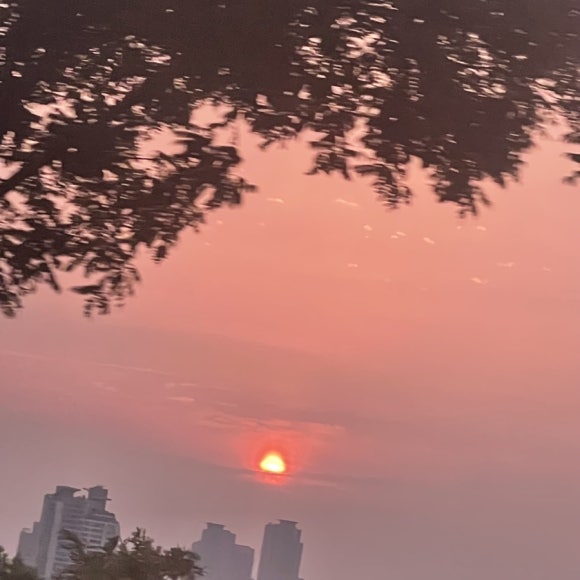 인생연어 이미지