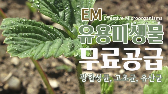 남산농협 광판지점 이미지