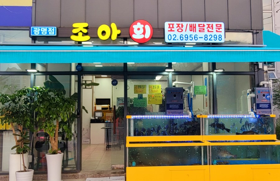 조아회 이미지