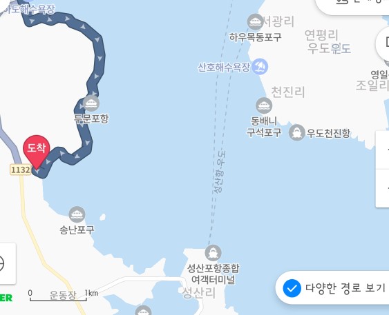 달마루스파 이미지