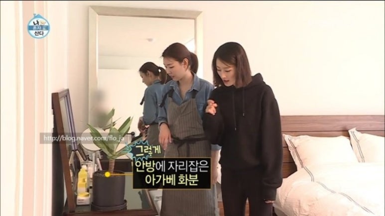 아가베서울 이미지
