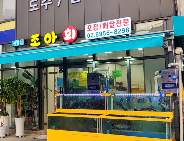 조아회 이미지