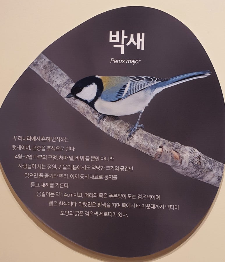 꽁이 이미지