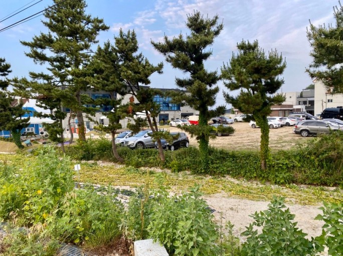 죽도캠핑장 이미지