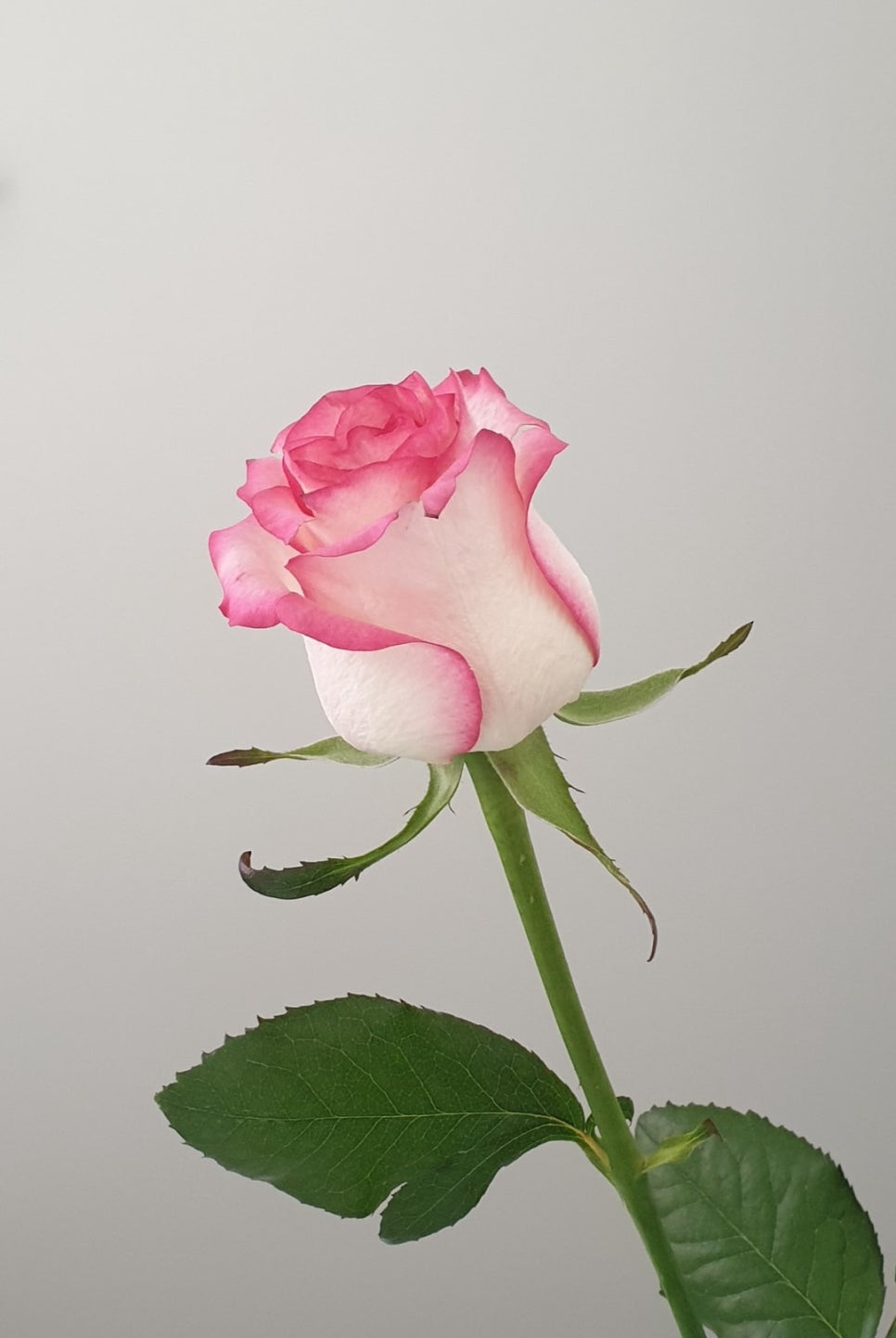 주연테크어방점 이미지