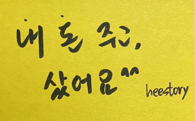 솜리치킨나운 이미지