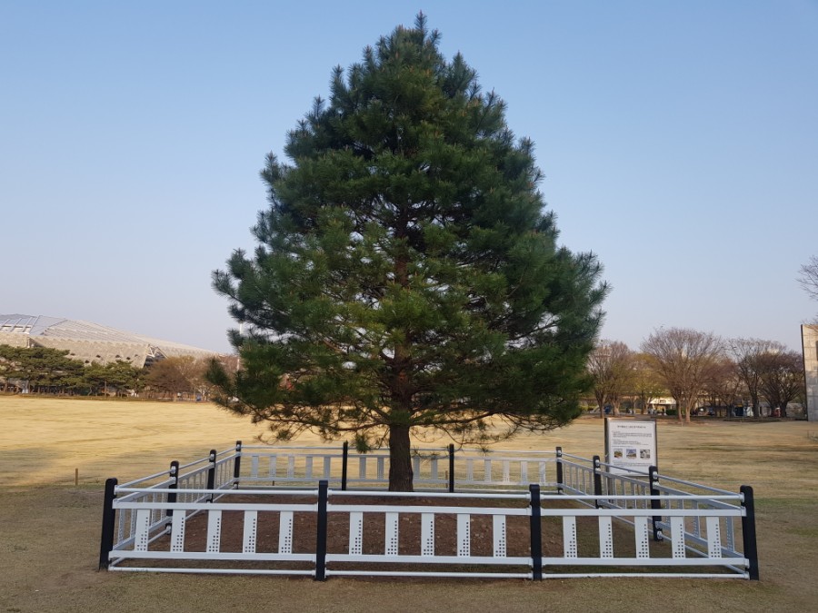 참조은메디케어 이미지