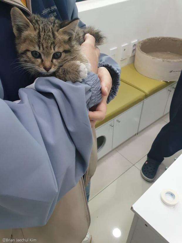 천사마트 이미지
