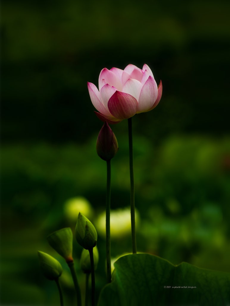 이브엔핀스튜디오 이미지